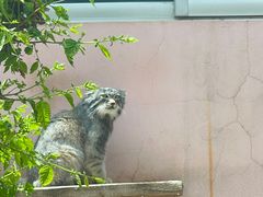 -青藏高原野生动物园
