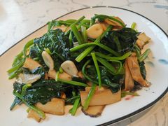 -东北本家小厨(海甸三东路店)