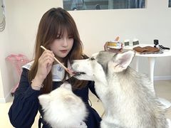 -怪兽屋·羊驼·猫咖·狗咖(俊华广场店)