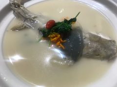 养颜白汁河豚-肆月河豚·新淮扬(金融街店)