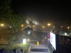 -洪湖悦兮半岛国际温泉度假村