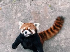-昆明动物园