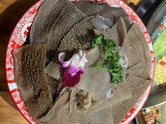 -楠火锅(广州总店)