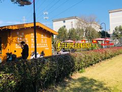 -浙江越秀外国语学院