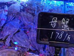 -渔民船说·北塘海鲜·天津菜·海肠捞饭(北塘古镇店)