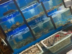 水产区-老东镇啤酒屋海鲜加工·蒸汽海鲜·海鲜烧烤(台东店)