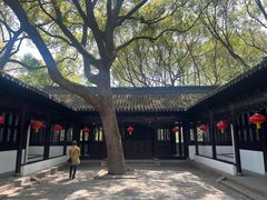 -上海醉白池公园