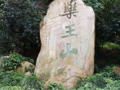 -广东中医药博物馆