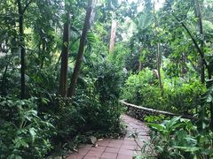 景观位-卷心菜和避孕套餐厅(Pattaya)