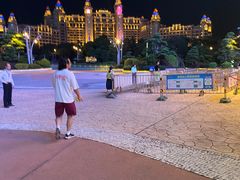 -珠海横琴长隆《卡卡虎奇遇记》