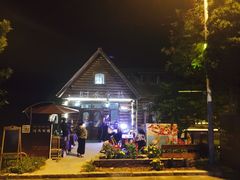 -日照海滨国家森林公园