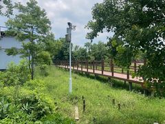 -会仙湿地