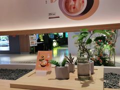 -炖物24章·顺时轻养茶(黄龙店)