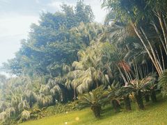 -深圳湾公园(南山区)