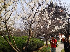 -西安青龙寺遗址景区