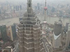 景观位-上海柏悦酒店·世纪100牛排馆