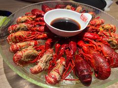 经典冰镇龙虾-红盔甲·小龙虾(定西路店)