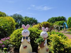 -上海共青森林公园