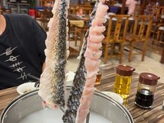 -渔意坊·千层无骨鱼粥底火锅·20年顺德菜(普君店)
