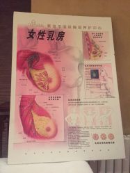 -紫琪尔·胸部养护护理