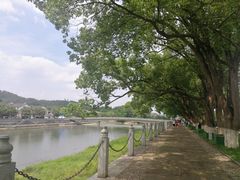 -溪口-滕头旅游景区