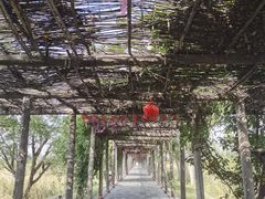 -处女泉风景名胜区