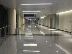 -首都医科大学附属北京天坛医院