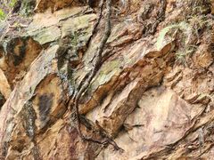 -羚羊峡古栈道森林公园