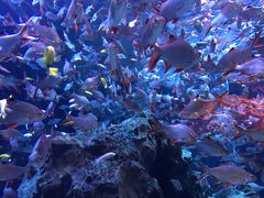 -成都浩海立方海洋公园