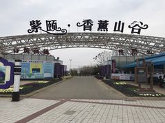 -紫颐香薰山谷景区