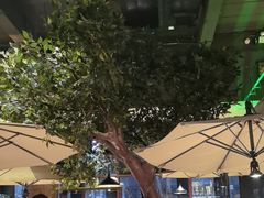 -三强鸽子(中原路店)