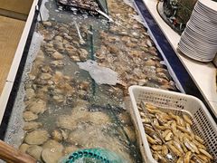 -海天盛宴新派海鲜自助餐厅(群力店)