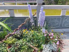 -深圳国际园林花卉博览园