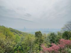 -岳麓山风景名胜区