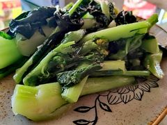 -荔枝红五号农庄
