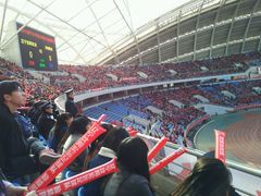 -沈阳奥林匹克体育中心