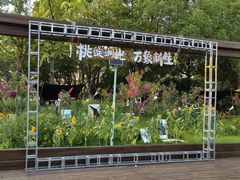-金鸡湖桃花岛