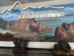 -青藏高原自然博物馆