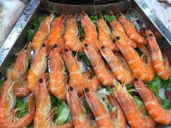 -百丈园龙江啫神馆