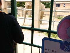 -保定市动物园