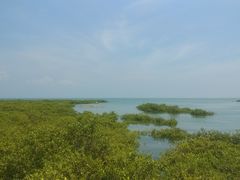 -北海金海湾红树林生态旅游区