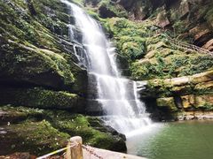 -中国大熊猫保护研究中心雅安碧峰峡基地