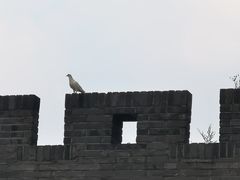 -孙武文化园-停车场