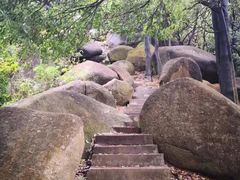 -火炉山森林公园