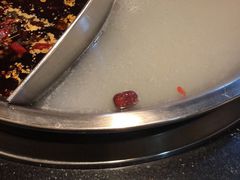 鸳鸯锅-重庆圣渝老火锅(掌起镇横街店)