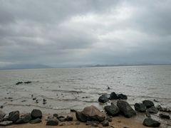 -深圳湾公园(南山区)