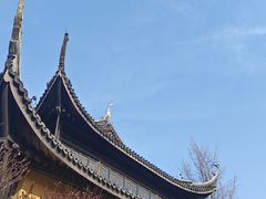 -红梅公园