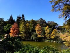 -云溪植物园