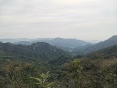 -大岭沟猕猴桃谷风景区