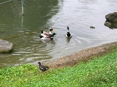 -大宁公园